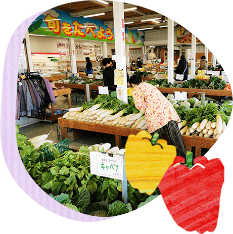 約80品目以上の徳島の農産物が勢揃い