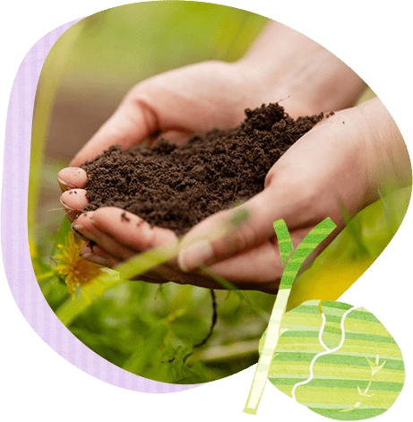 減農薬、有機肥料を使用した野菜なので安心安全