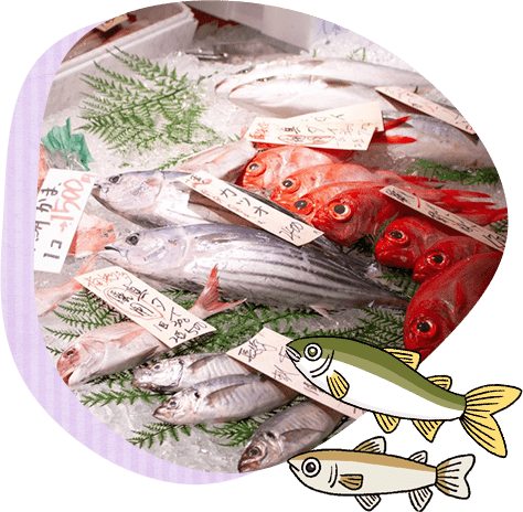 毎週日曜日は新鮮な魚が並びます！