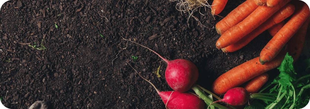 プライバシーポリシー